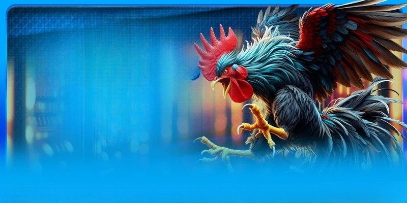 Đôi nét về đá gà 8KBET